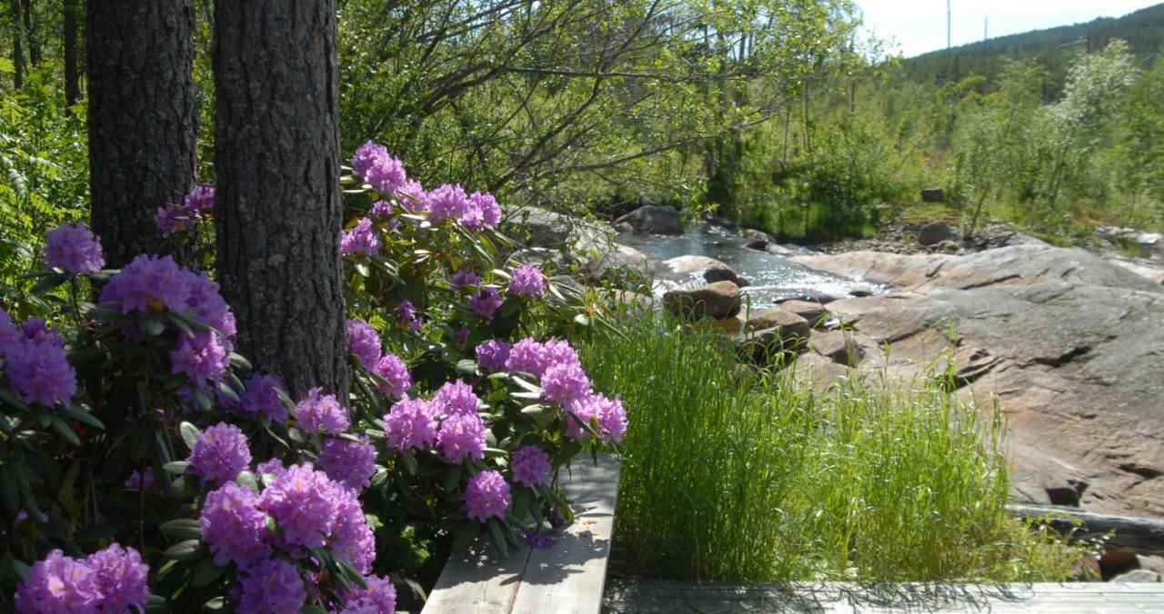 Fossumsanden Camping Og Hytter Fyresdal Exteriér fotografie